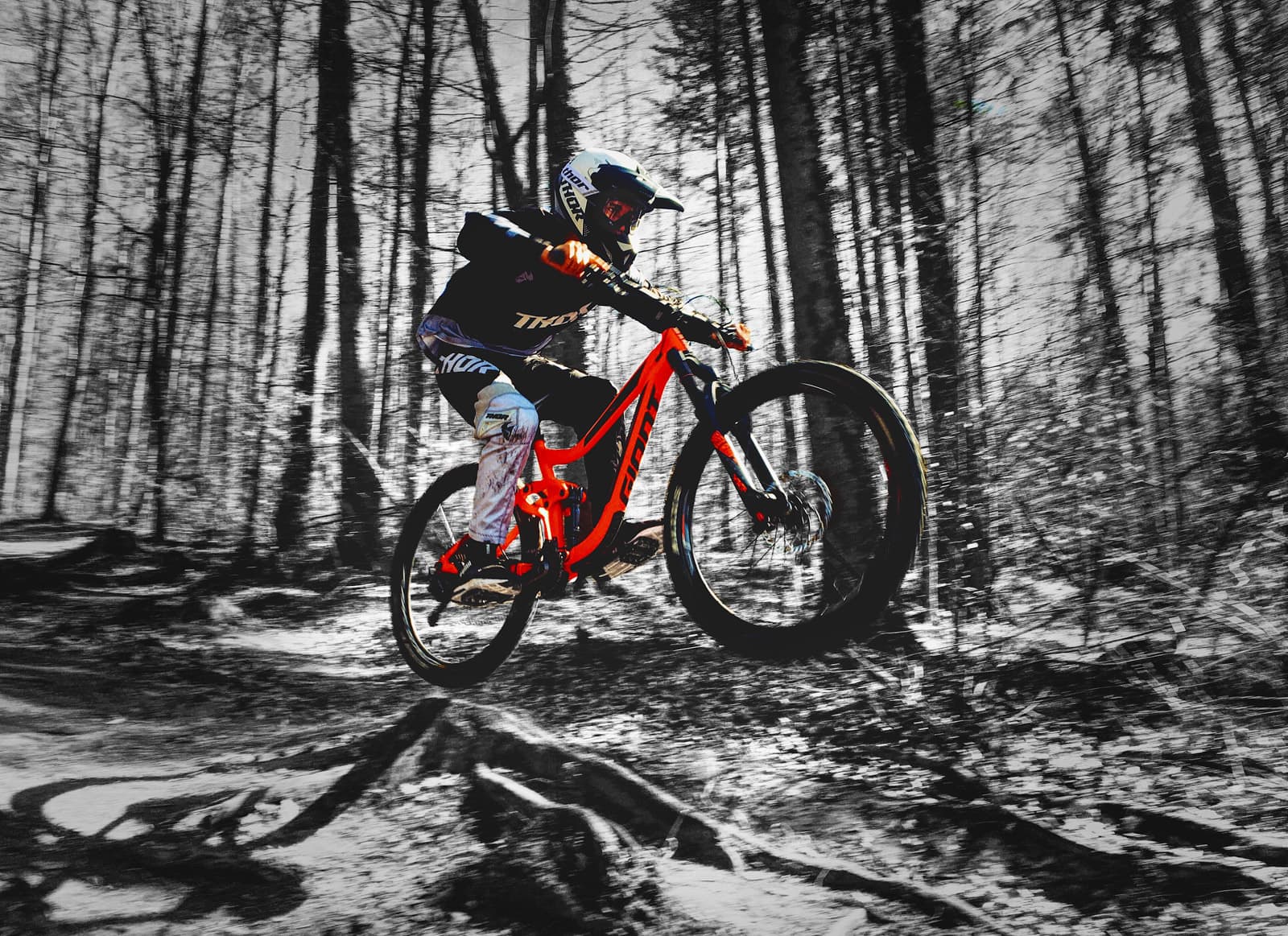 Mountainbiker im Downhill-Sprung über Waldboden, farbiges Bike vor schwarz-weißem Wald