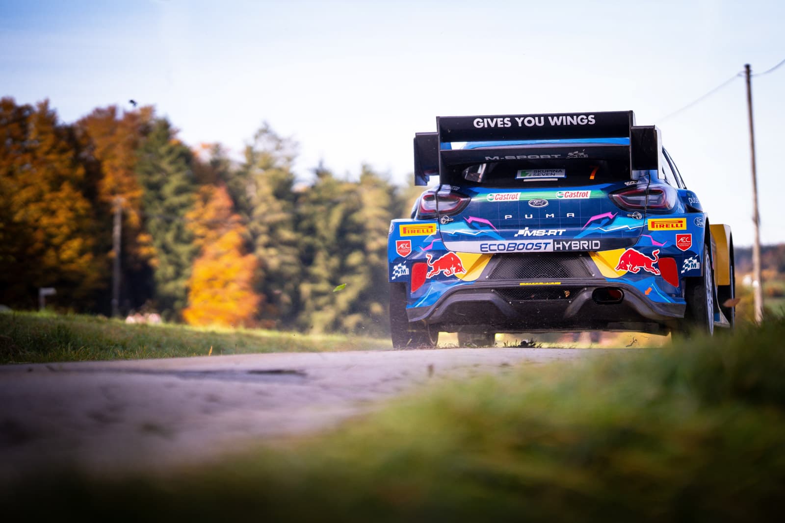M-Sport Ford Puma Rally1 Heckansicht in Red-Bull-Design vor herbstlicher Allee