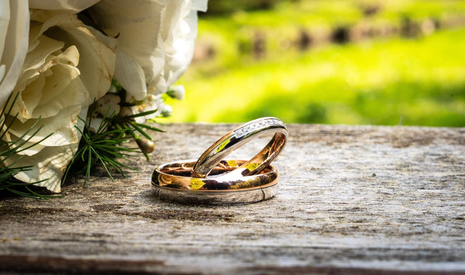 Zwei Eheringe (Diamantring auf Roségold-Ring) auf Holzbalken vor unscharfer Wiese